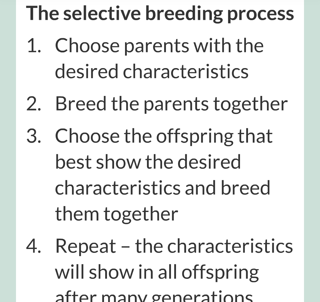 10 - Selective Breeding/004.png