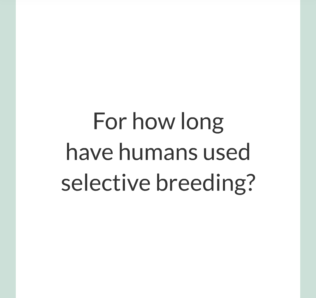 10 - Selective Breeding/005.png