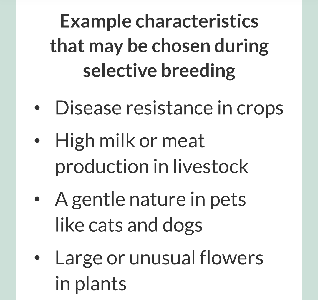 10 - Selective Breeding/008.png