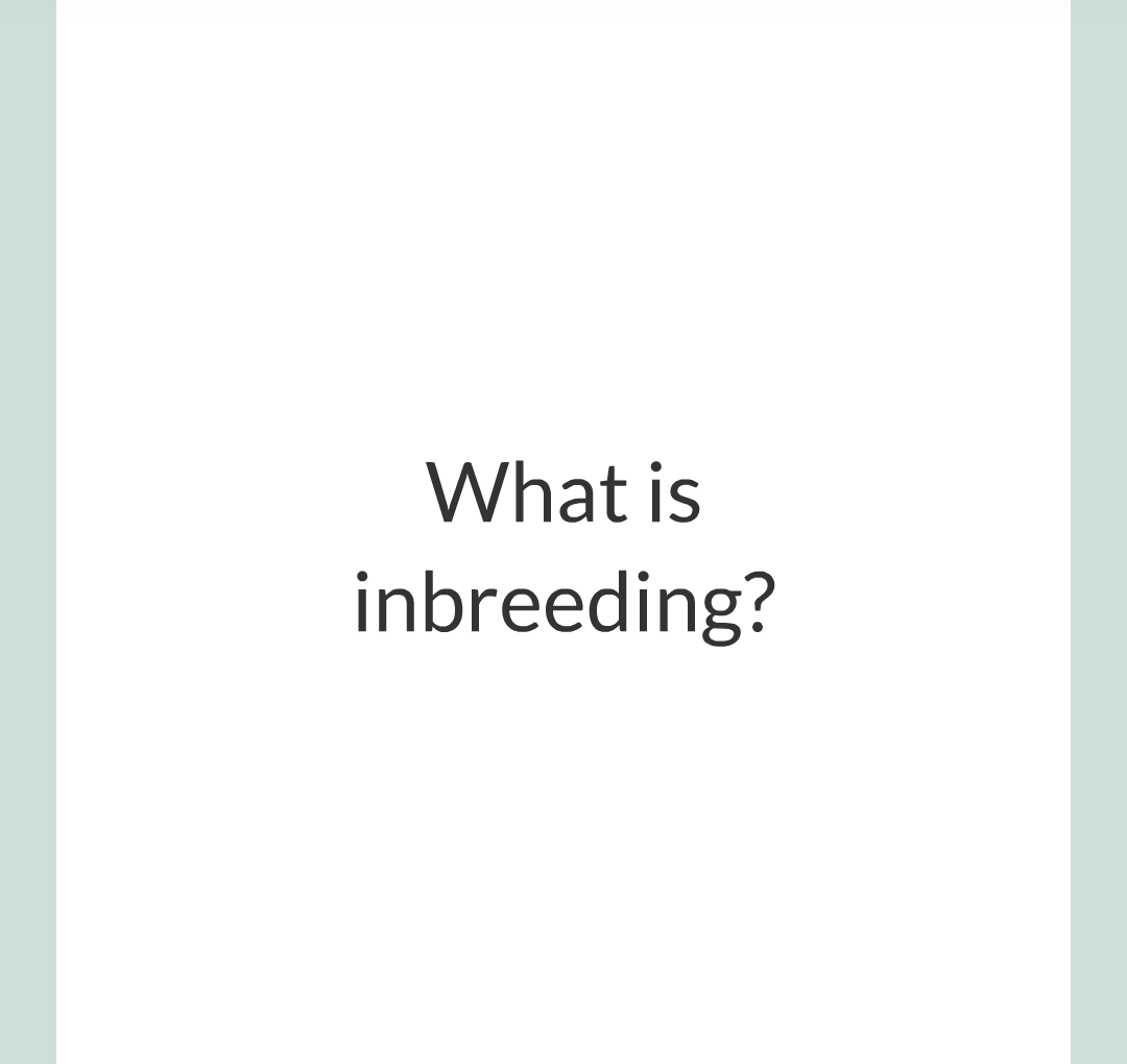 10 - Selective Breeding/009.png