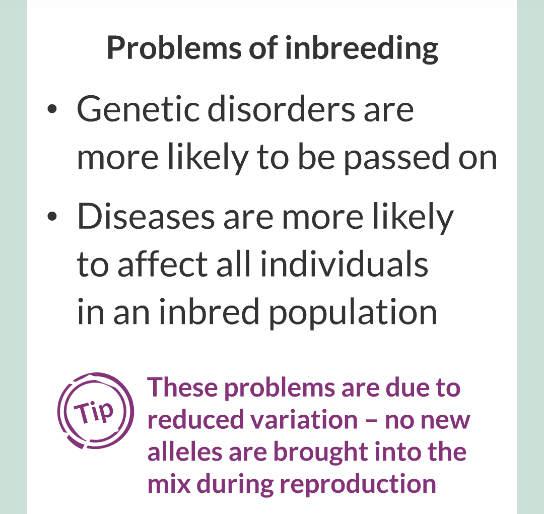 10 - Selective Breeding/012.png