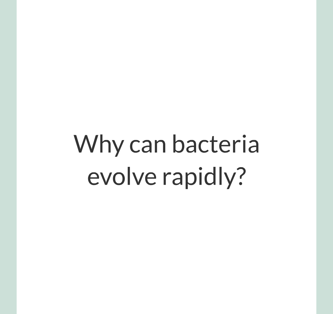 14 - Antibiotic - Reistant Bacteria/001.png