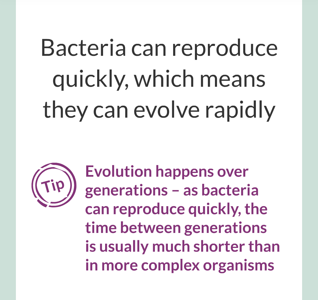 14 - Antibiotic - Reistant Bacteria/002.png