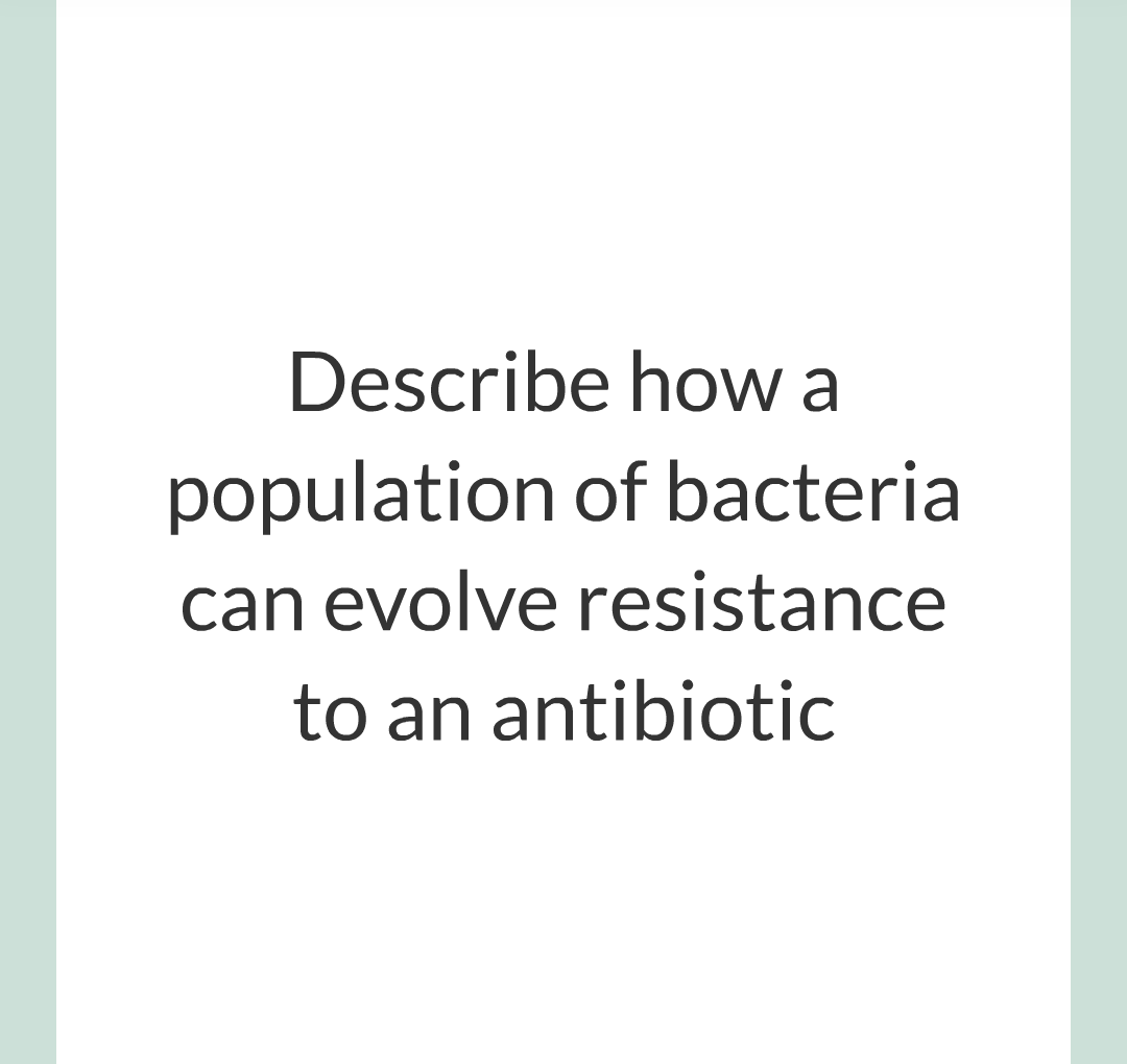 14 - Antibiotic - Reistant Bacteria/003.png