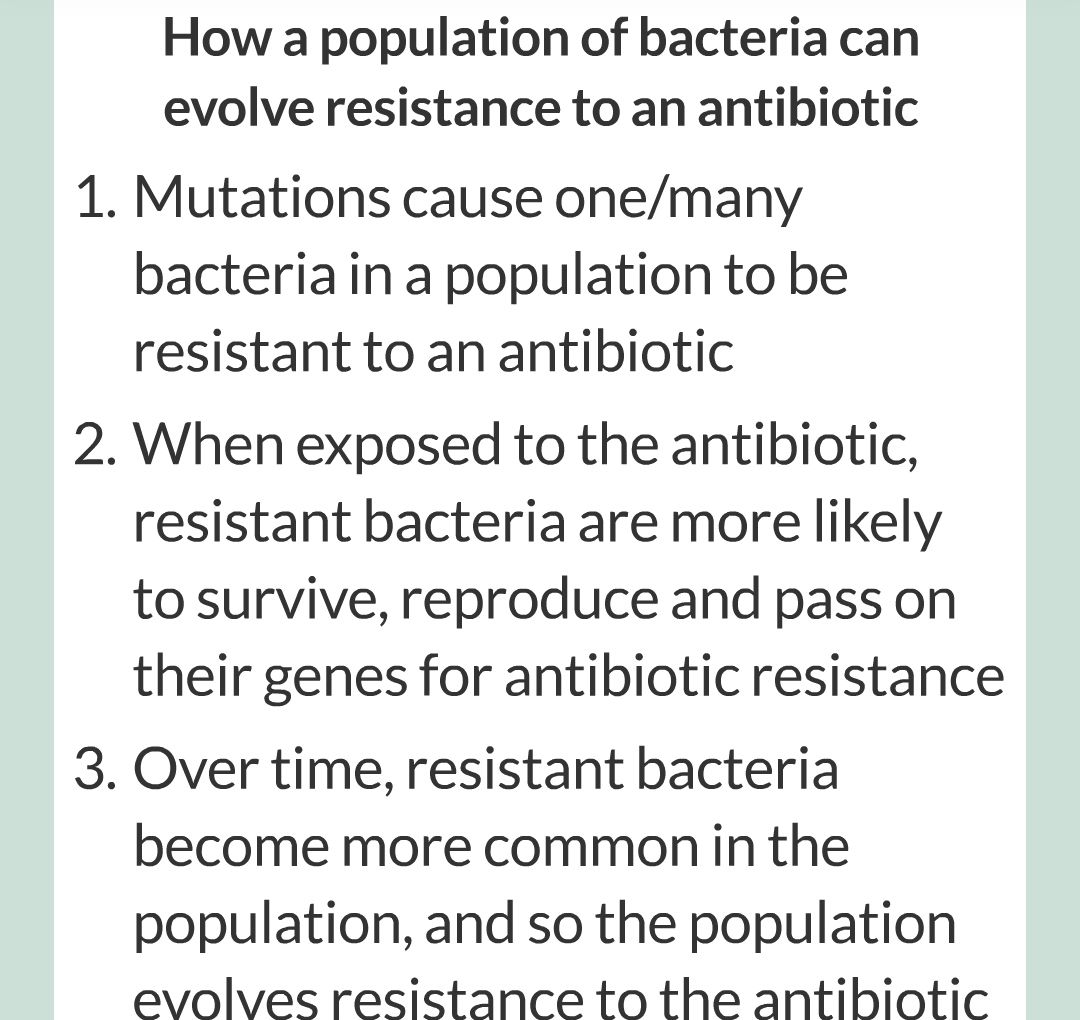 14 - Antibiotic - Reistant Bacteria/004.png