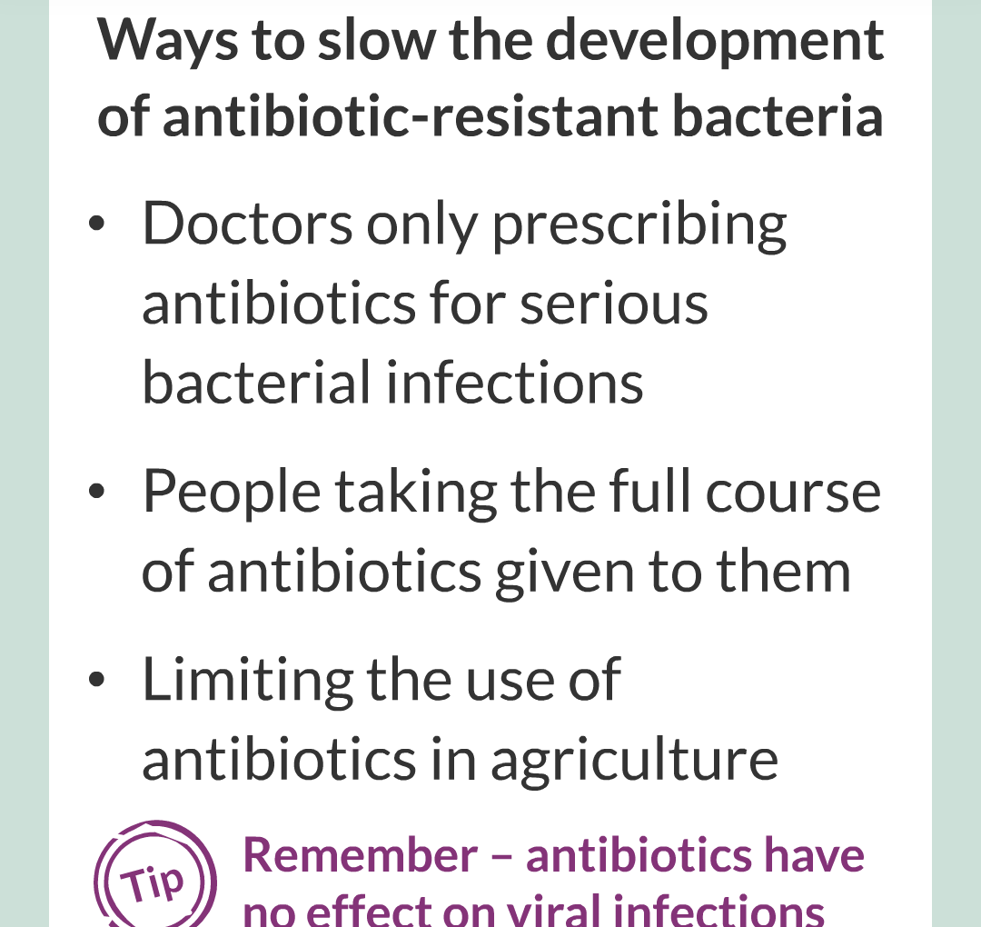 14 - Antibiotic - Reistant Bacteria/008.png