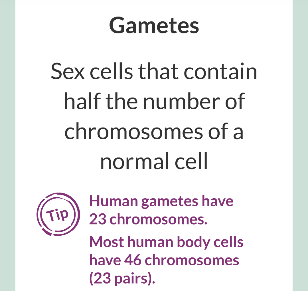 3 - Sexual and Asexual Reproduction/002.png