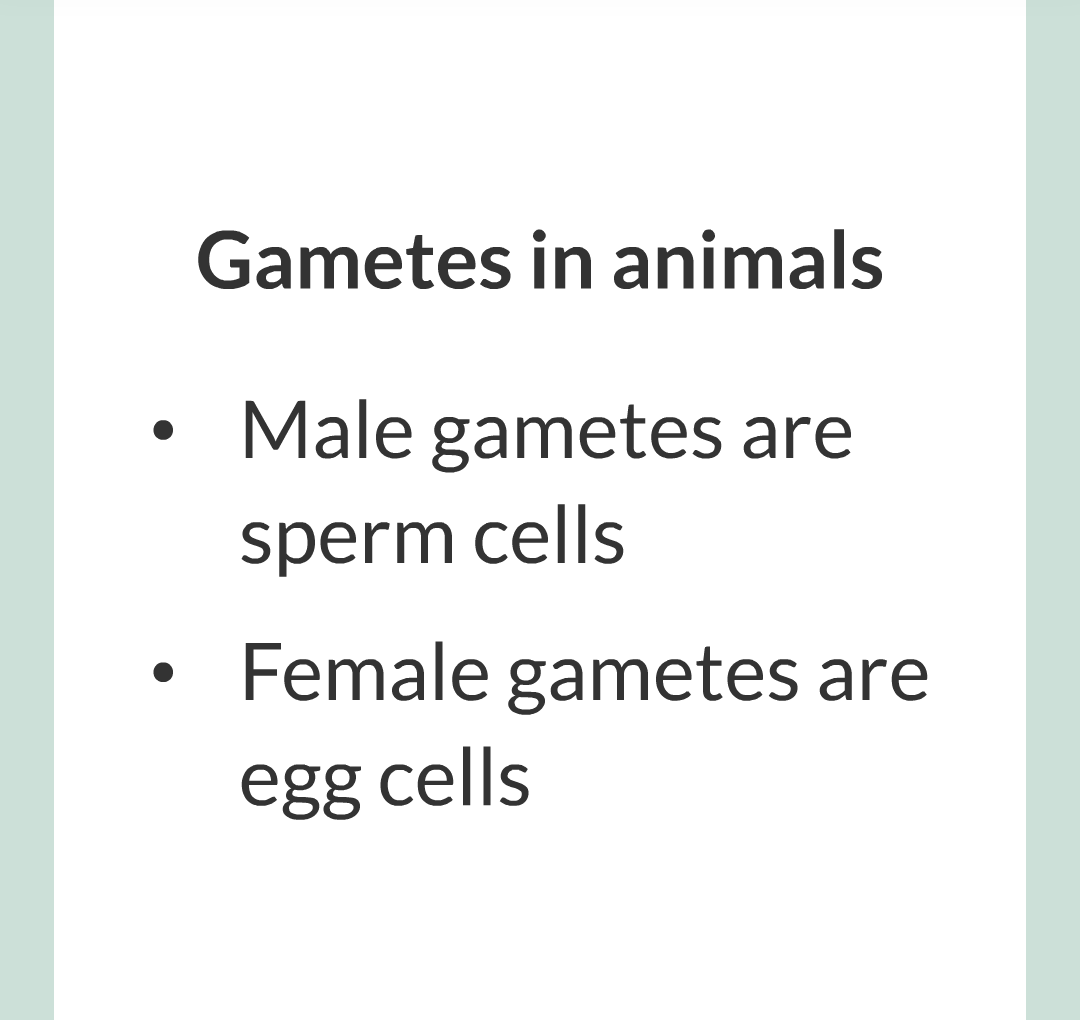 3 - Sexual and Asexual Reproduction/004.png