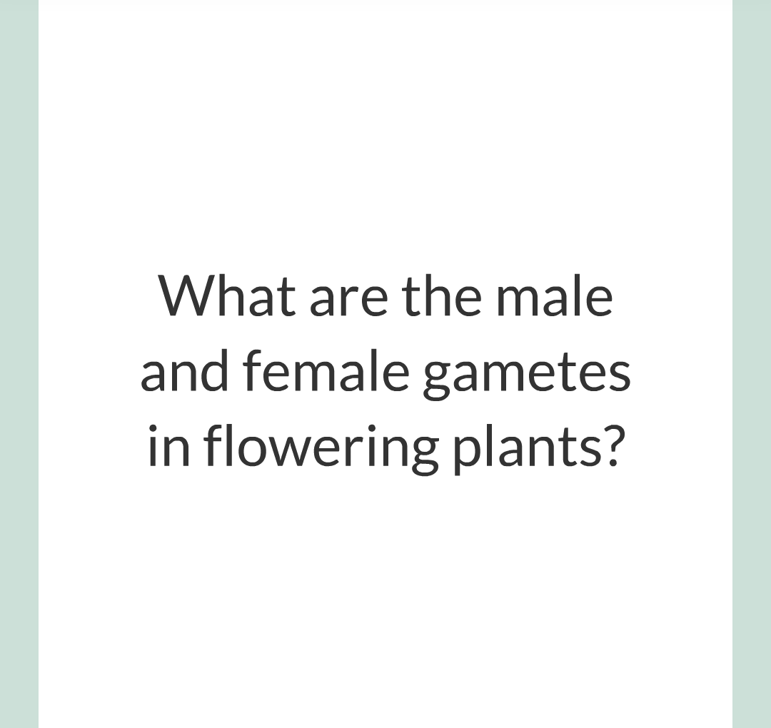 3 - Sexual and Asexual Reproduction/005.png