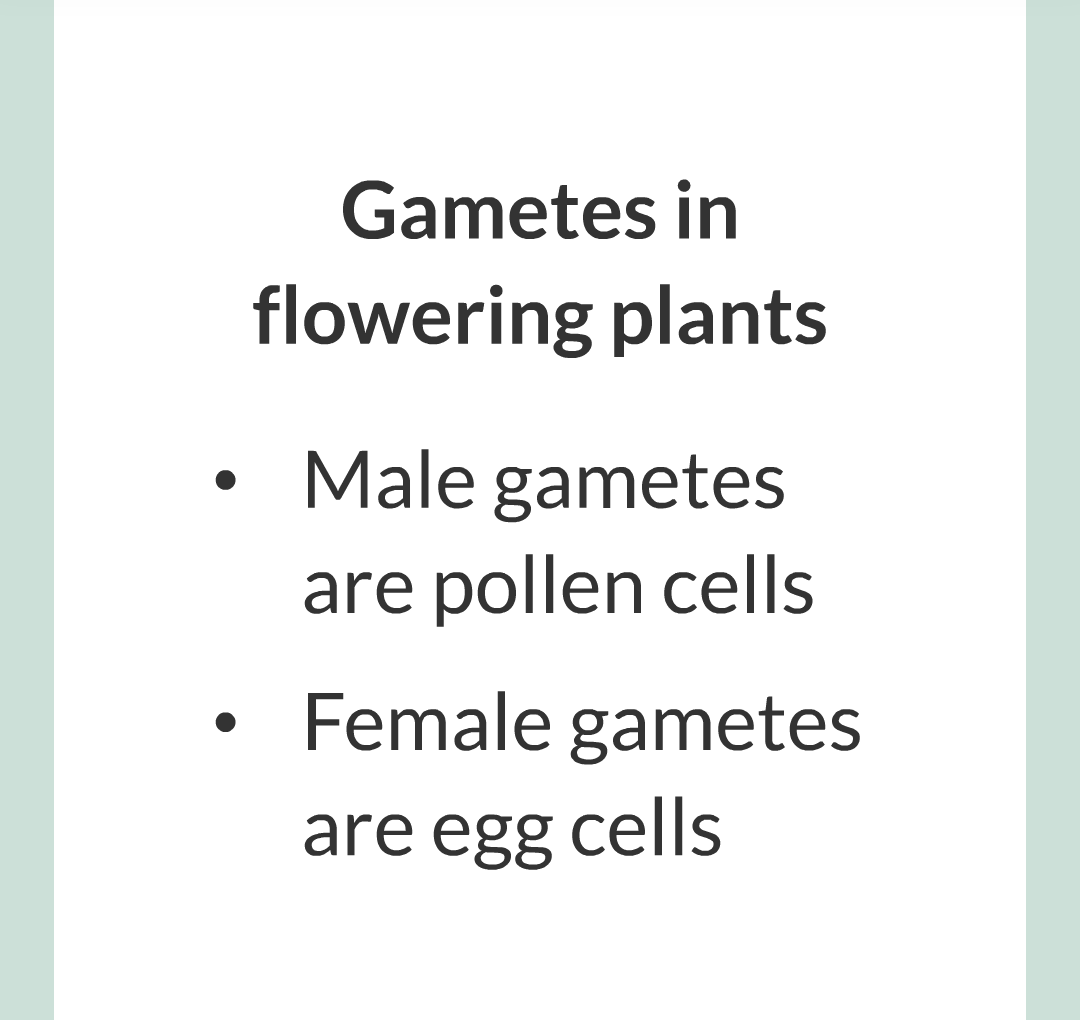 3 - Sexual and Asexual Reproduction/006.png