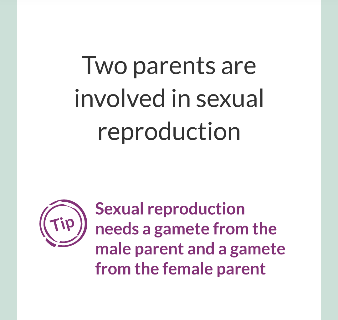3 - Sexual and Asexual Reproduction/008.png