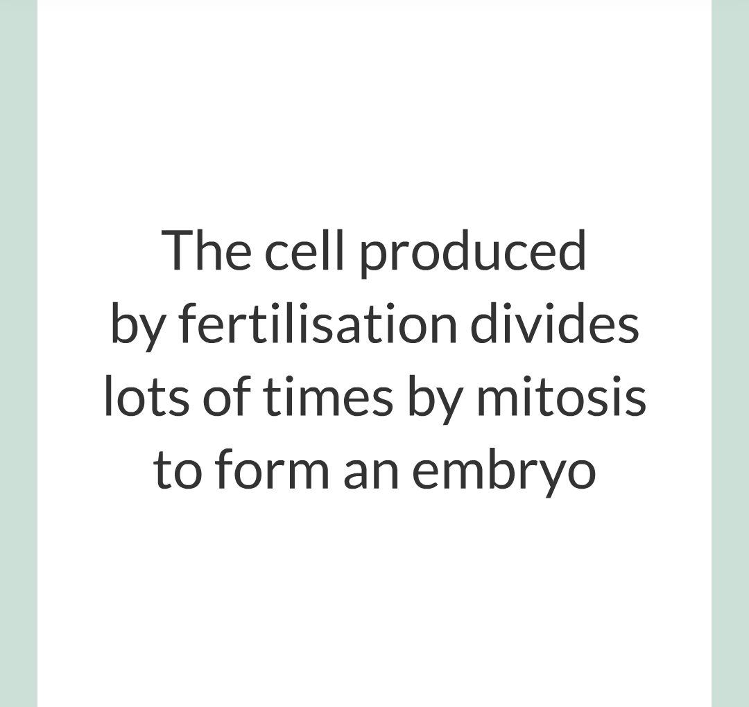3 - Sexual and Asexual Reproduction/012.png