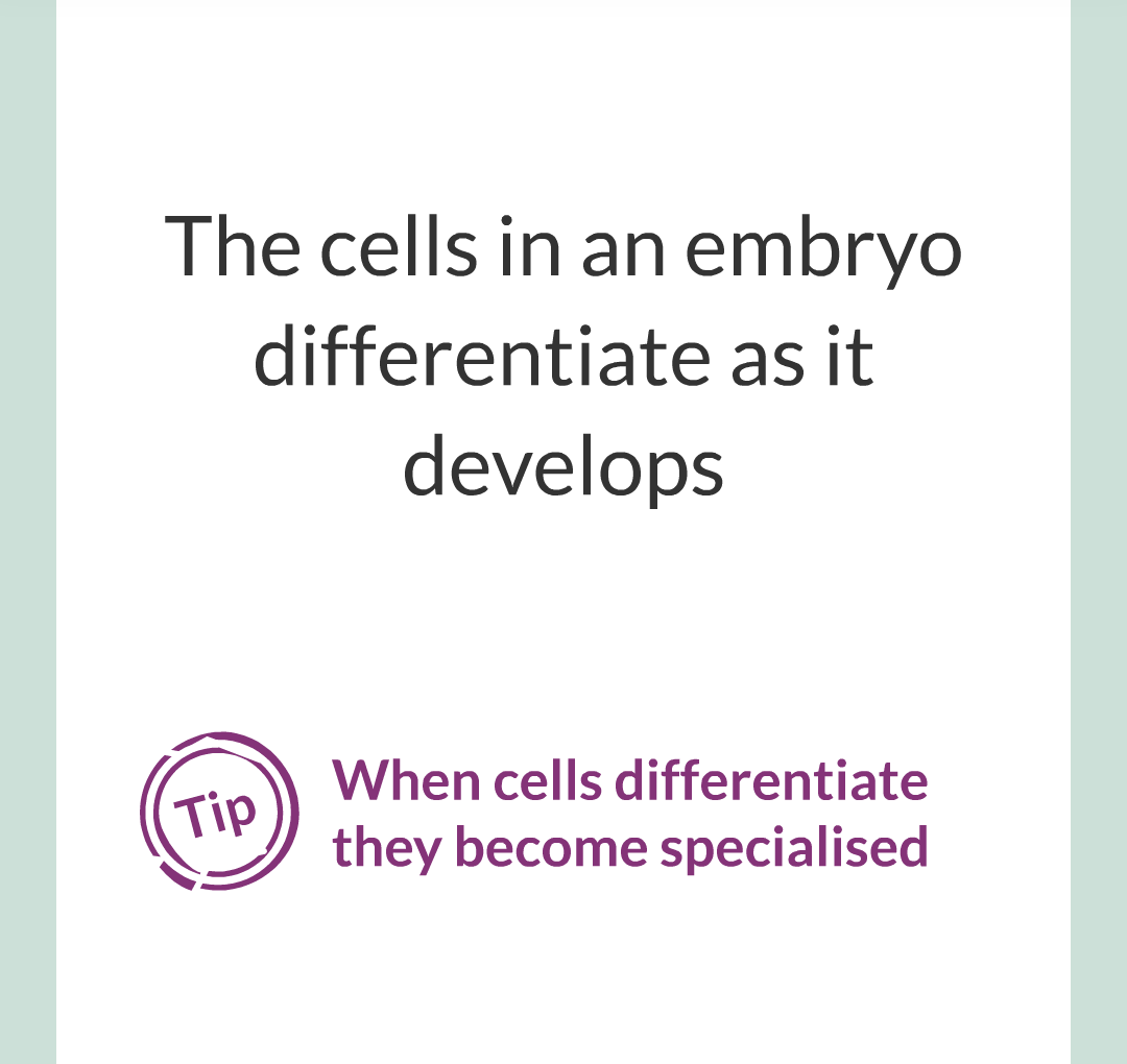 3 - Sexual and Asexual Reproduction/014.png