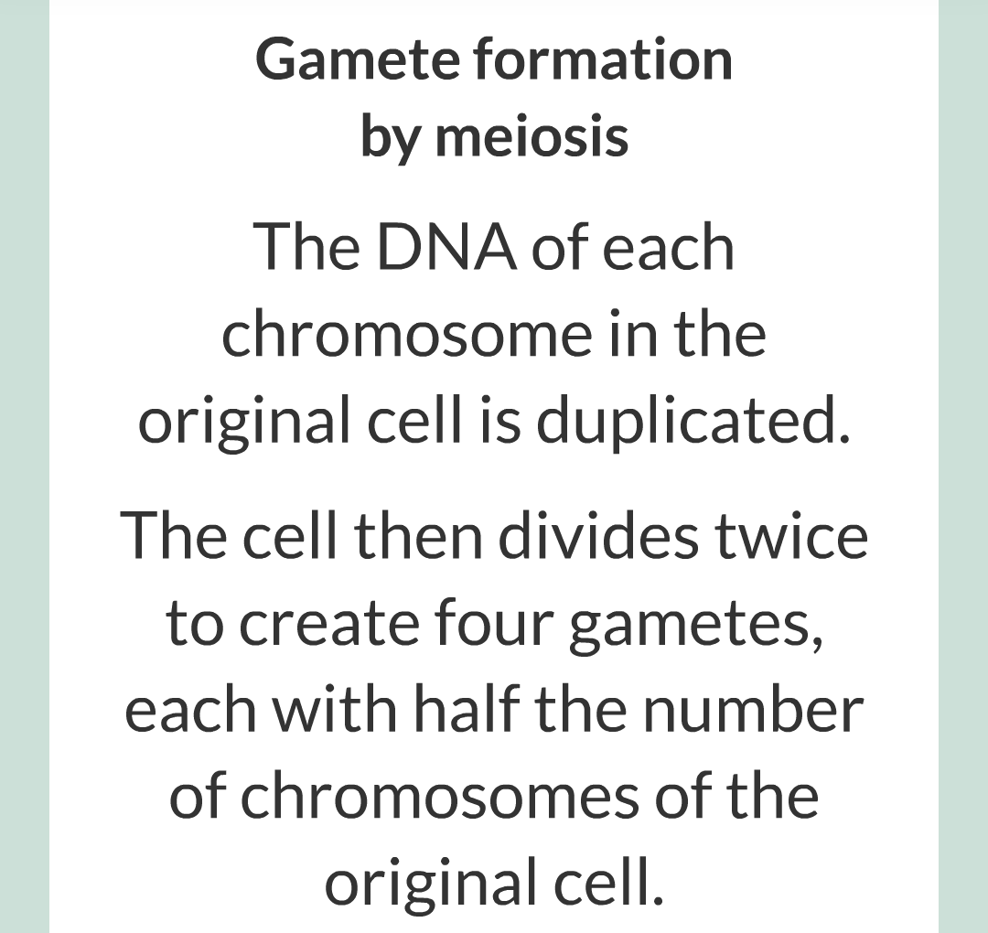 3 - Sexual and Asexual Reproduction/020.png
