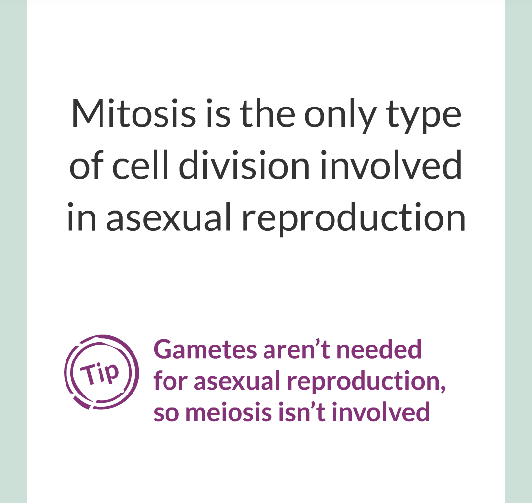 3 - Sexual and Asexual Reproduction/030.png
