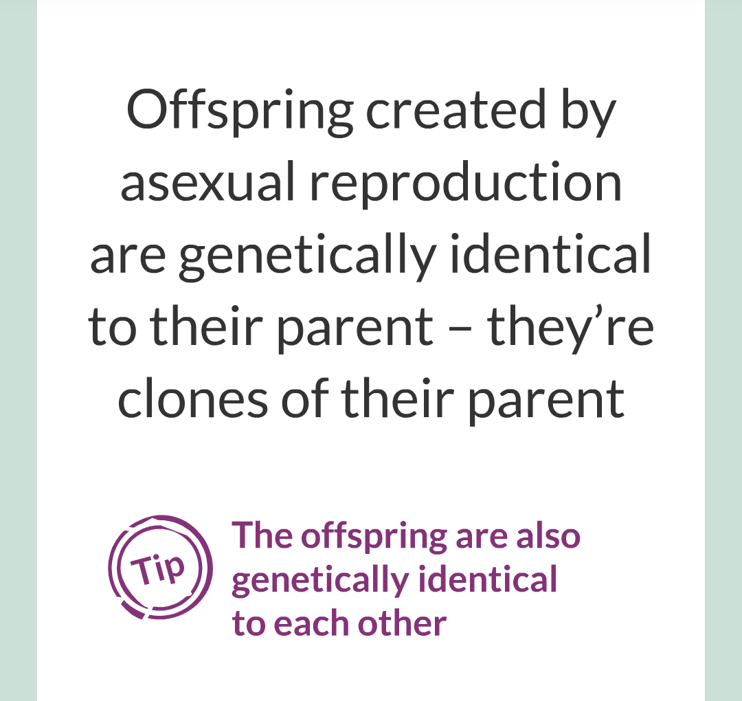 3 - Sexual and Asexual Reproduction/032.png