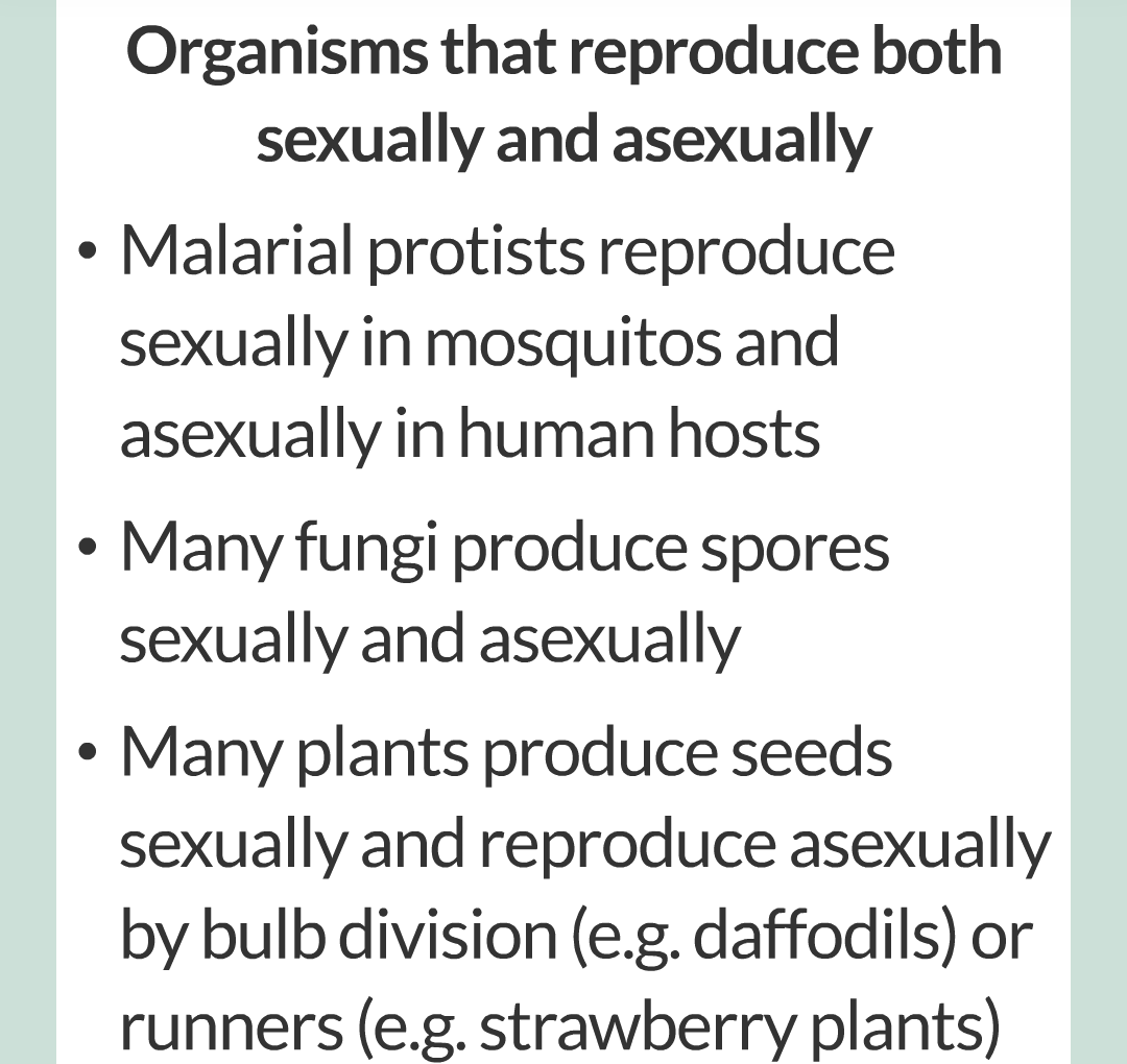3 - Sexual and Asexual Reproduction/038.png