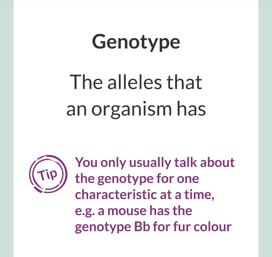 4 - Genetics/004.png