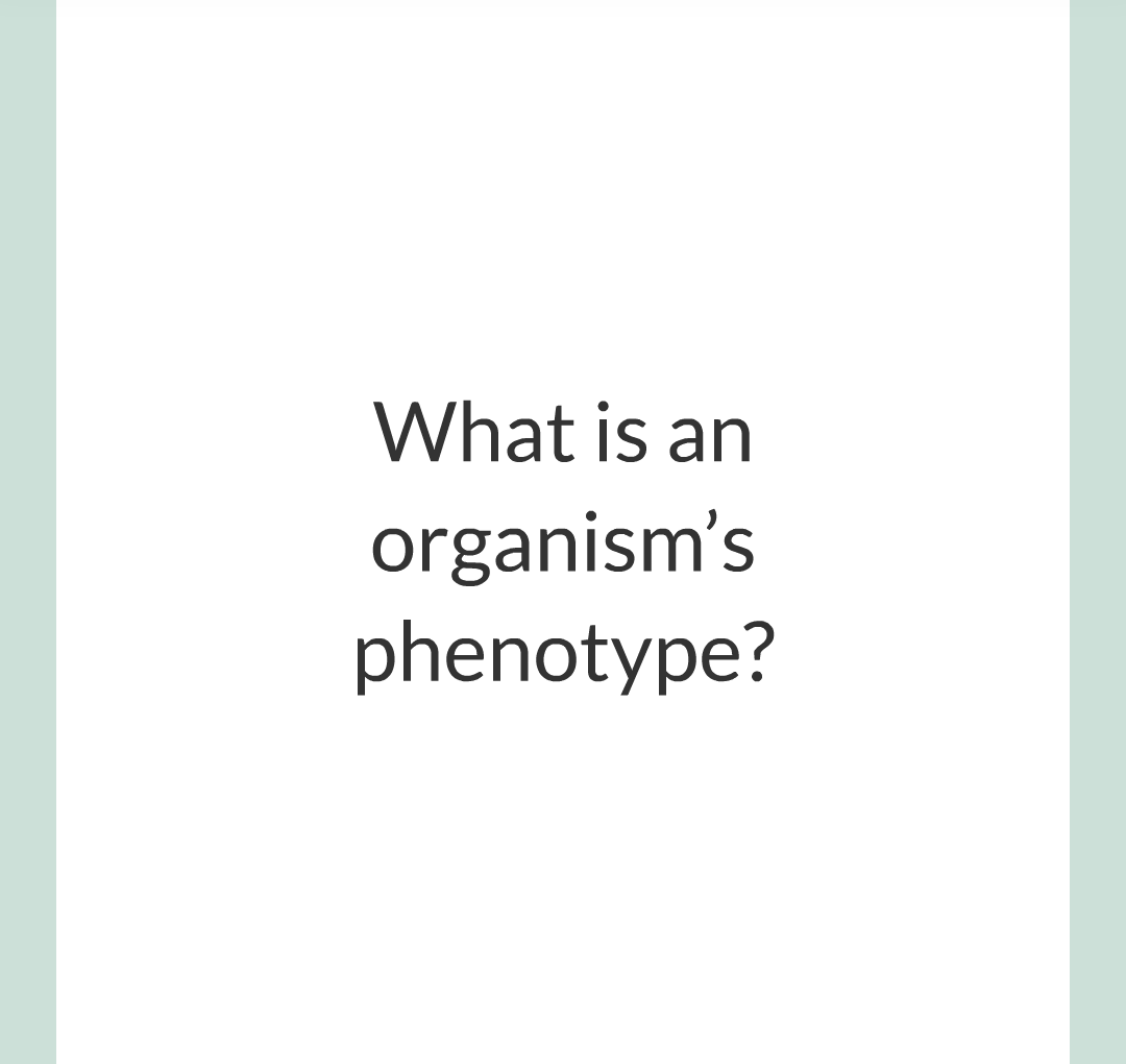 4 - Genetics/005.png