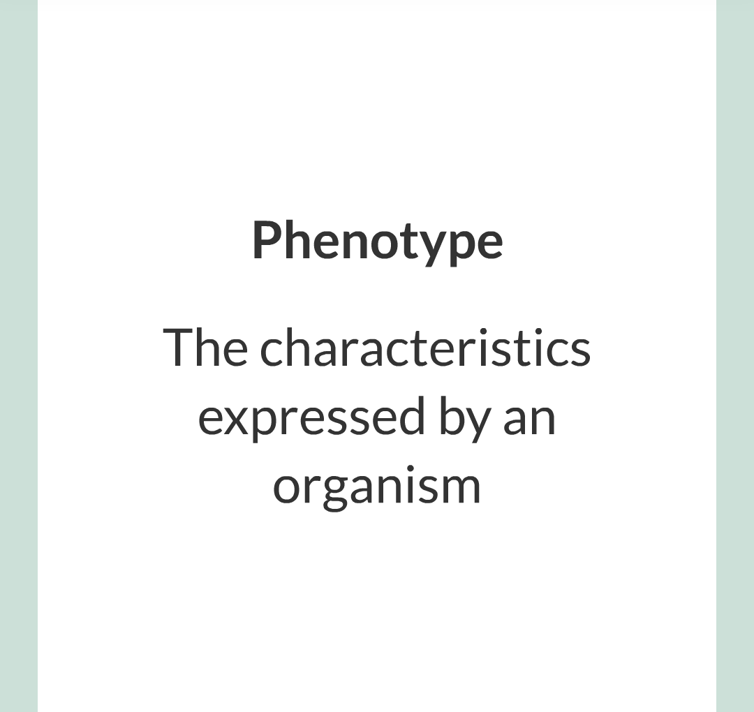 4 - Genetics/006.png