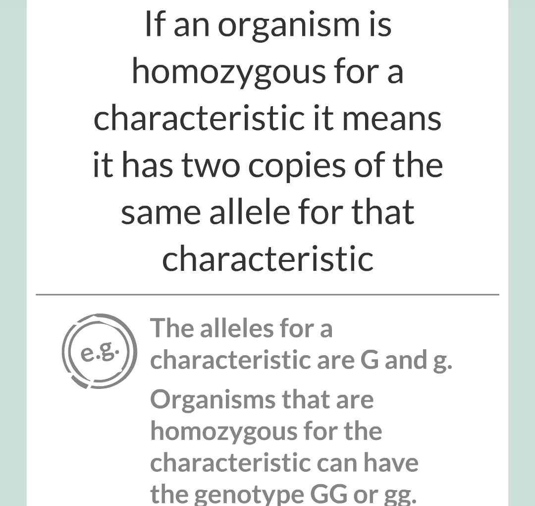 4 - Genetics/012.png