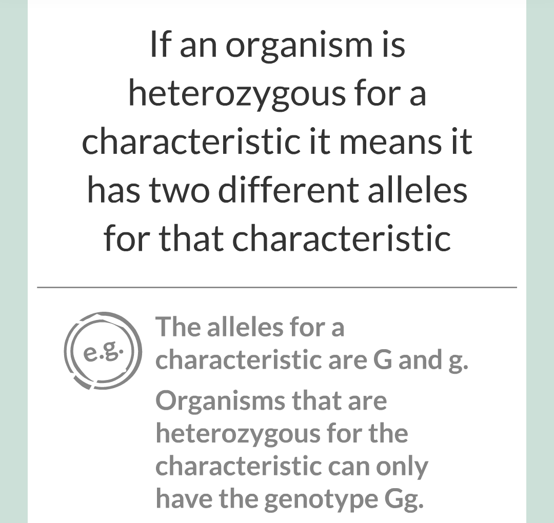 4 - Genetics/014.png