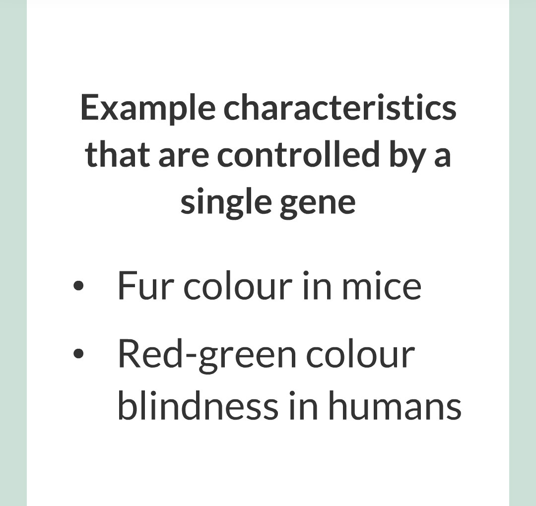 4 - Genetics/016.png