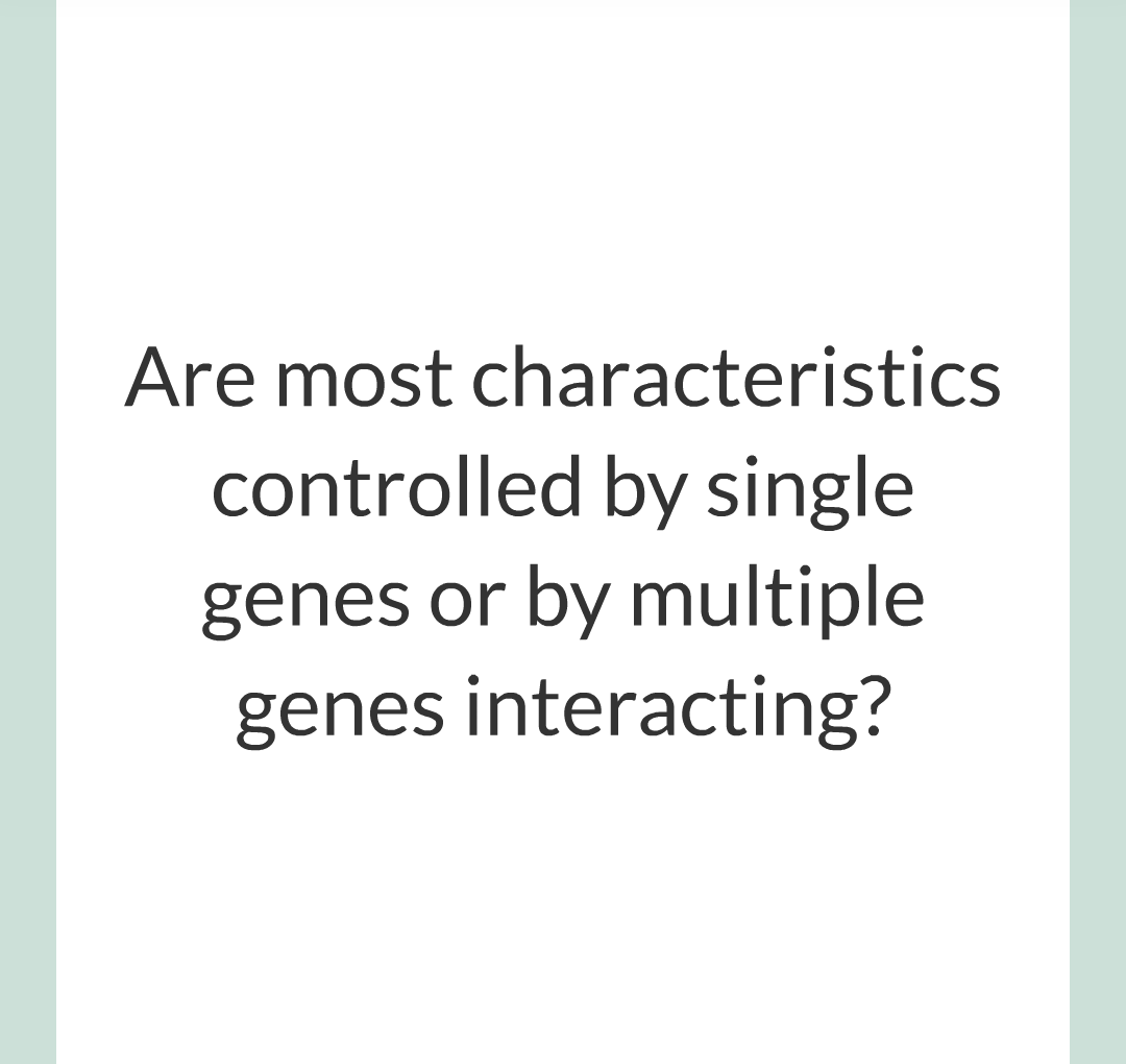 4 - Genetics/017.png