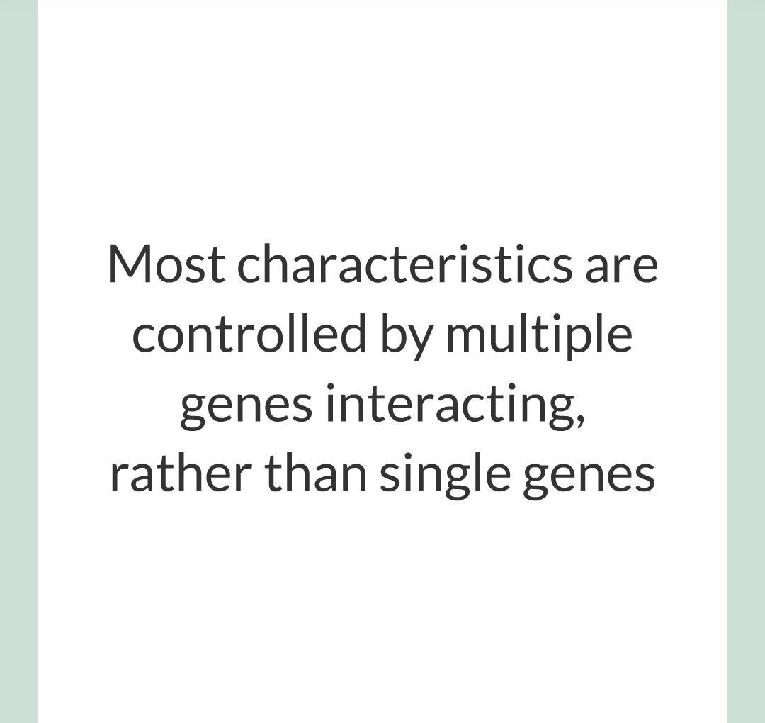 4 - Genetics/018.png