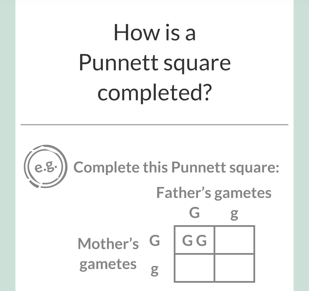 4 - Genetics/021.png