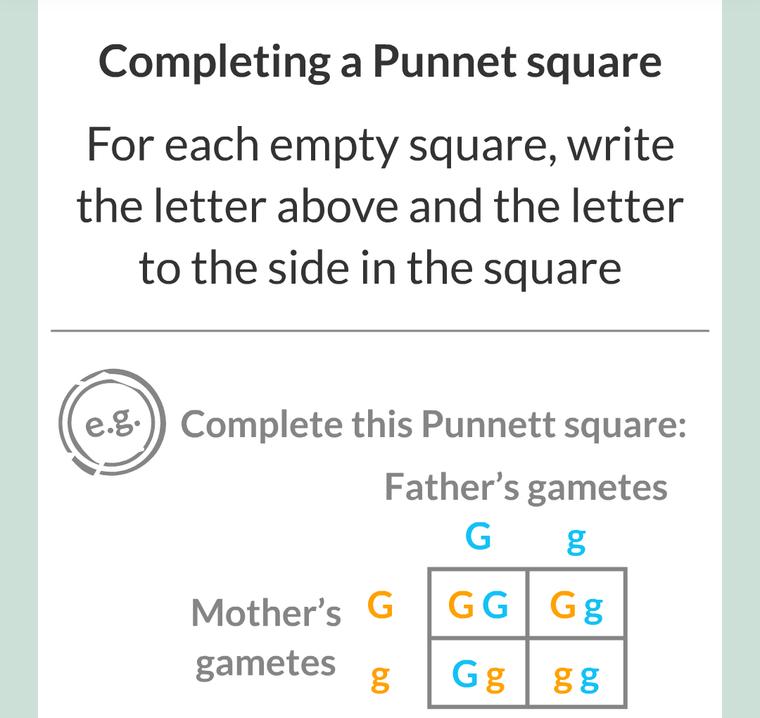 4 - Genetics/022.png