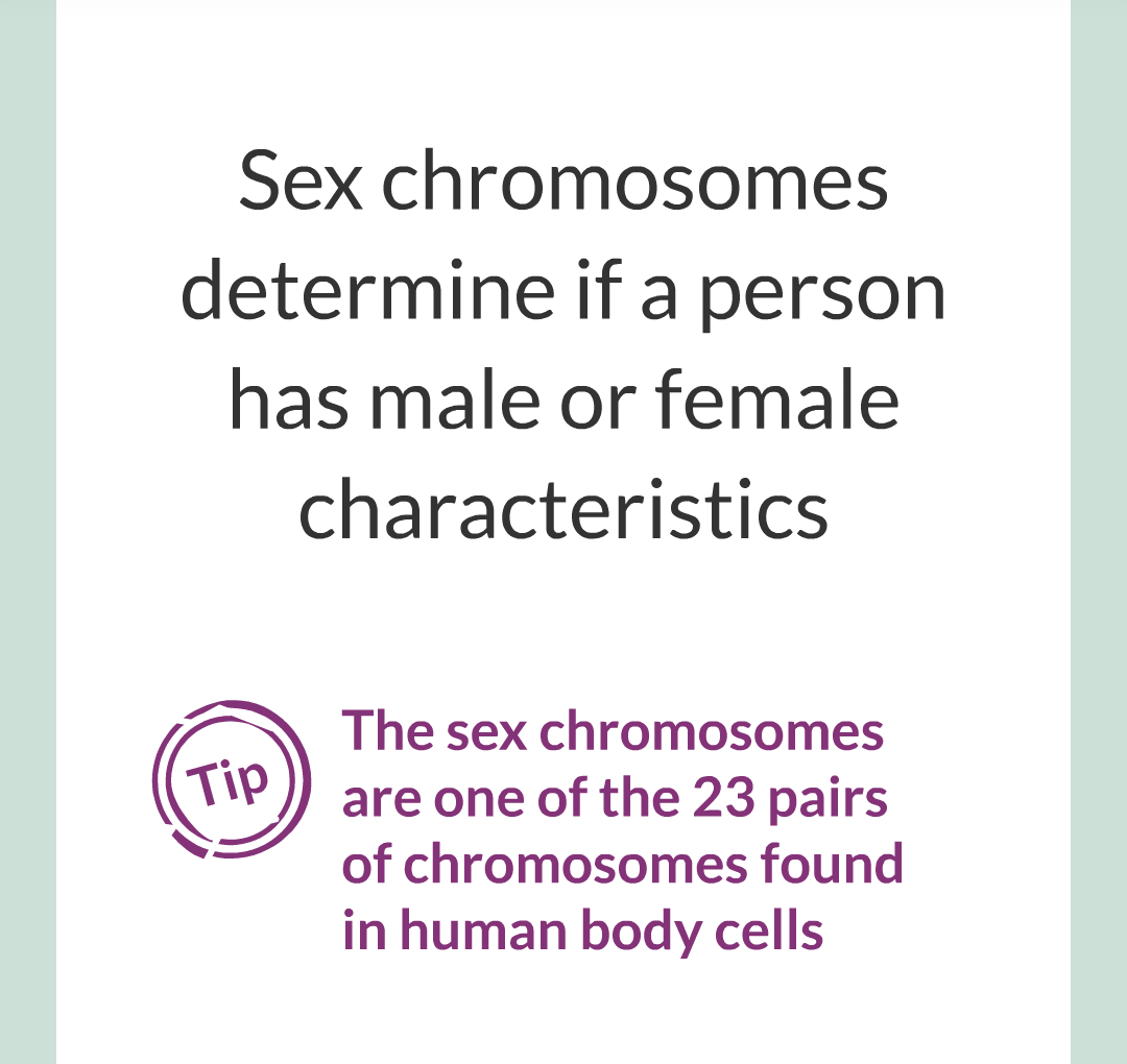 6 - Sex Chromosomes/002.png