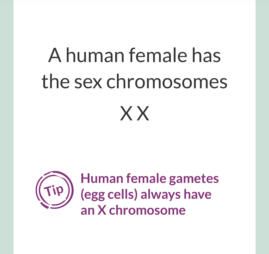 6 - Sex Chromosomes/004.png