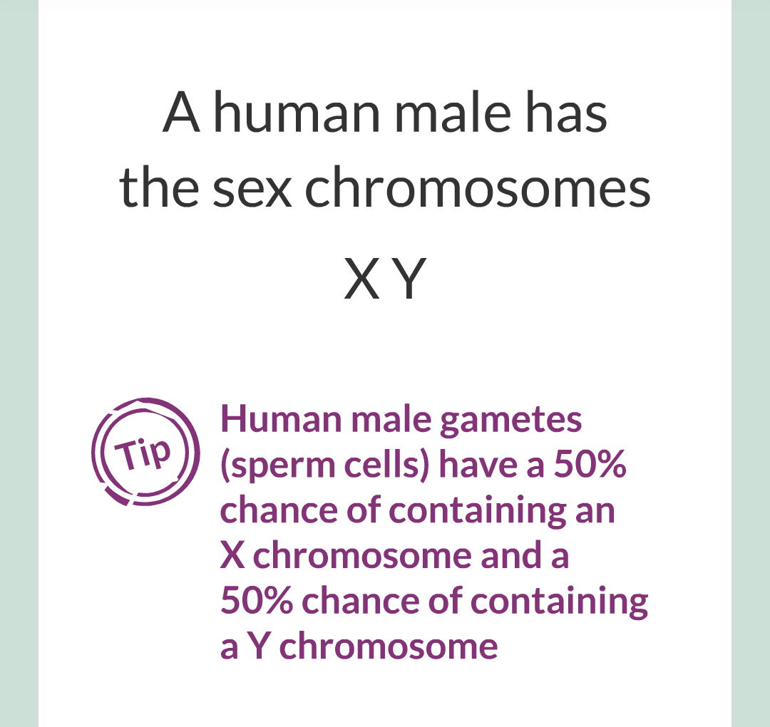 6 - Sex Chromosomes/006.png