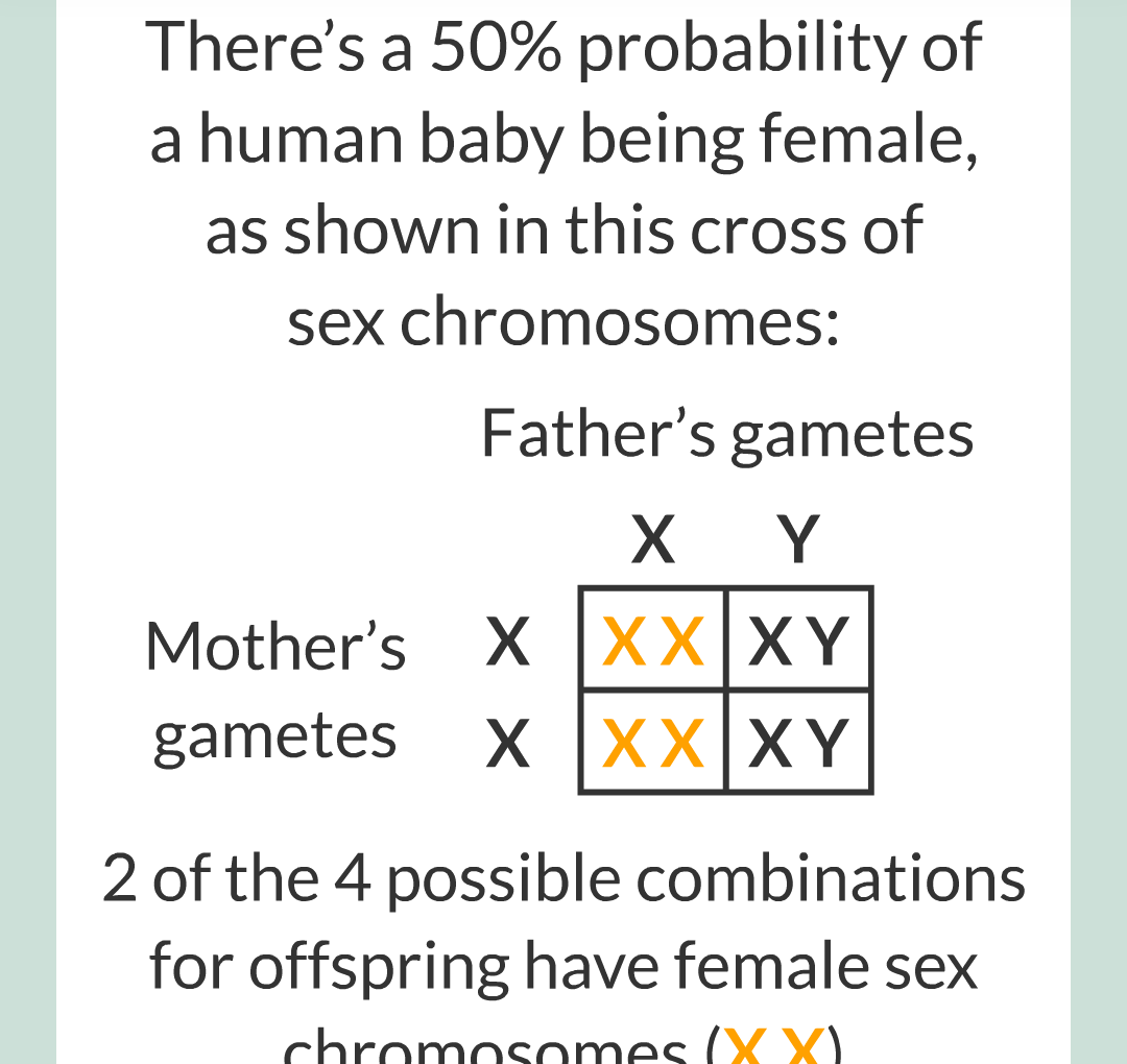 6 - Sex Chromosomes/008.png