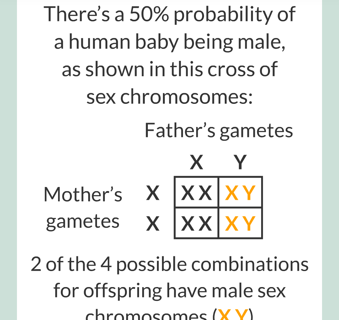 6 - Sex Chromosomes/010.png