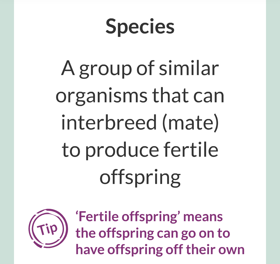 8 - Variation, Evoltion and Speciation/002.png