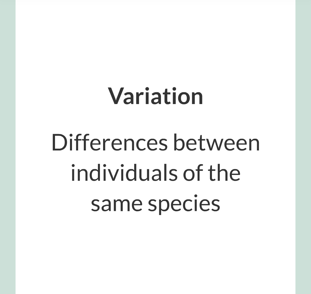 8 - Variation, Evoltion and Speciation/004.png