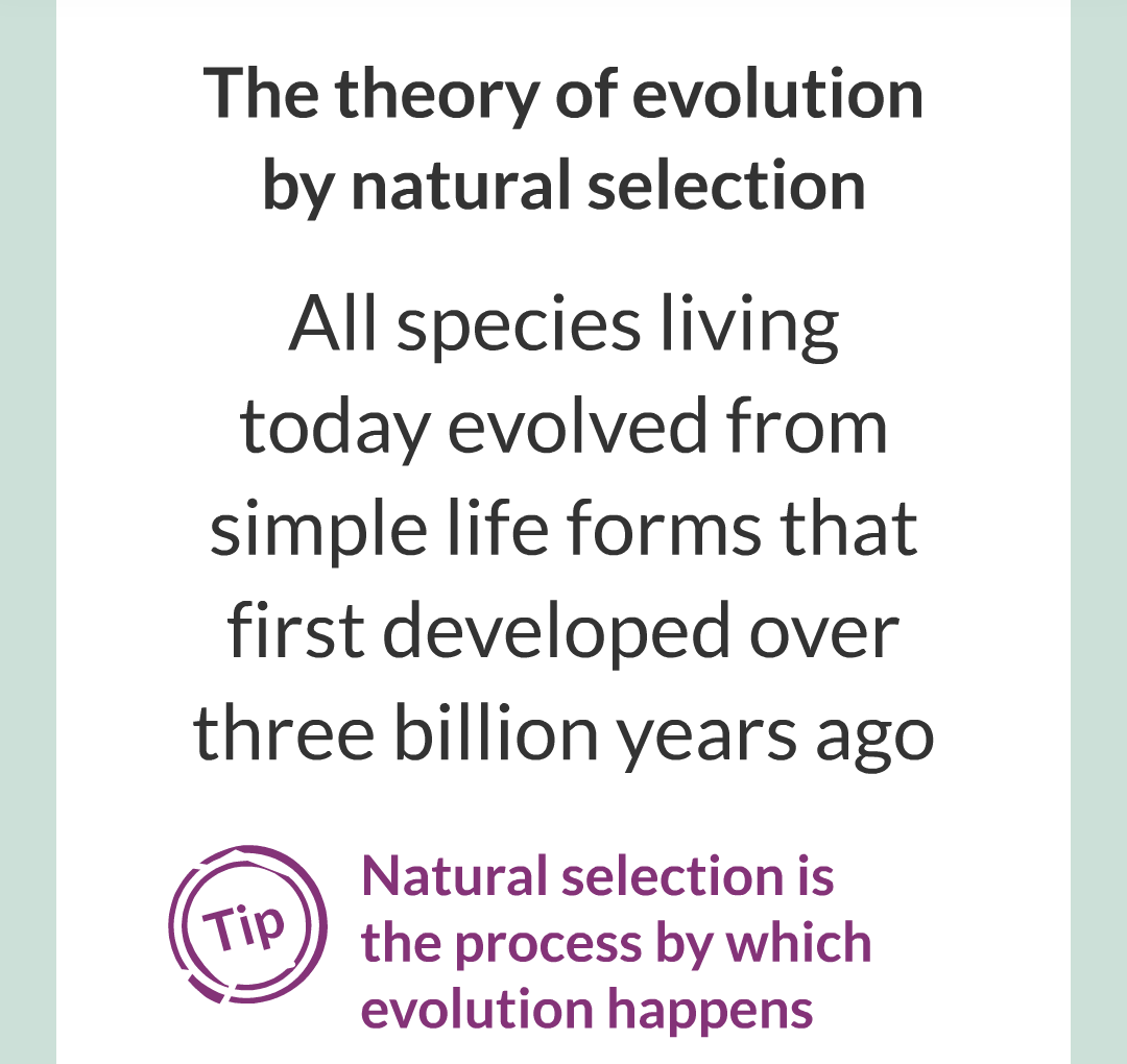 8 - Variation, Evoltion and Speciation/008.png