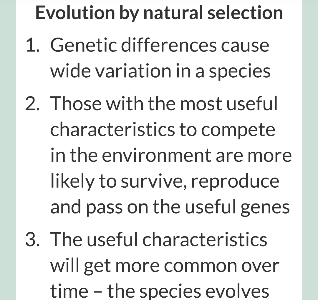 8 - Variation, Evoltion and Speciation/010.png