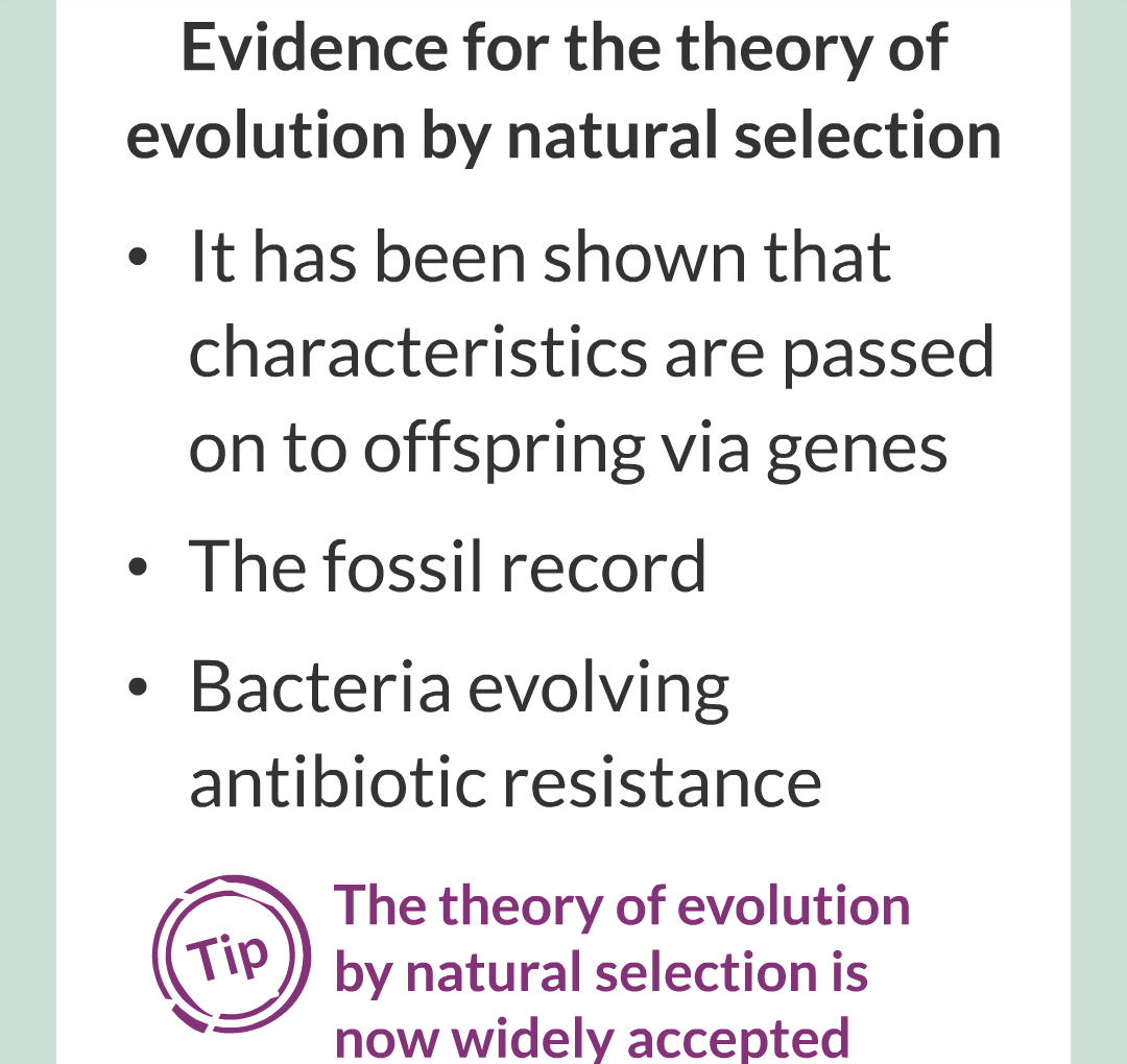 8 - Variation, Evoltion and Speciation/012.png