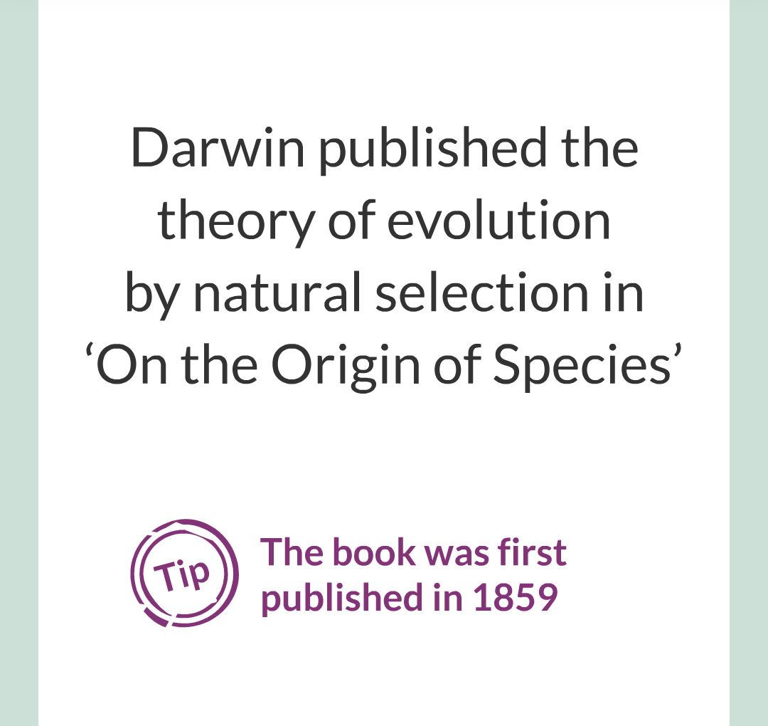 8 - Variation, Evoltion and Speciation/016.png