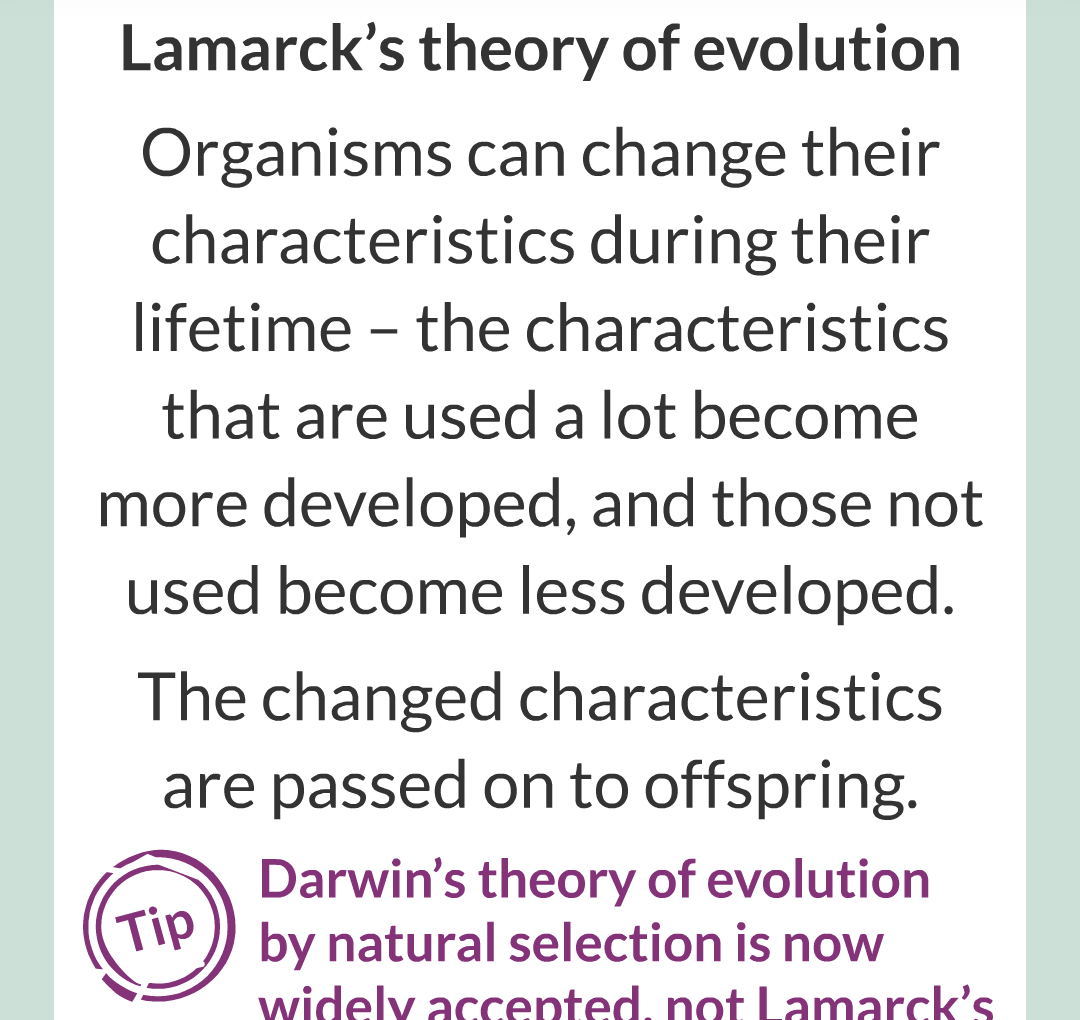 8 - Variation, Evoltion and Speciation/020.png