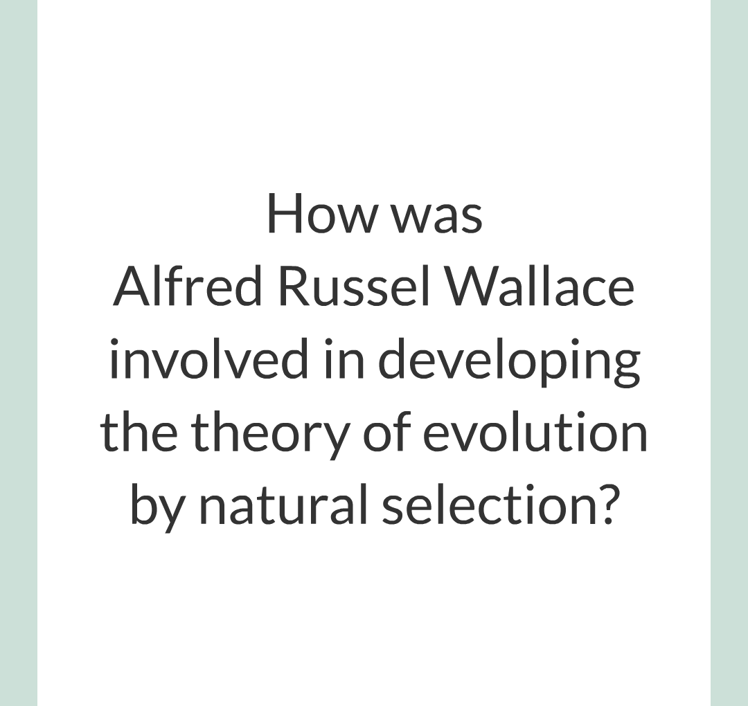 8 - Variation, Evoltion and Speciation/021.png
