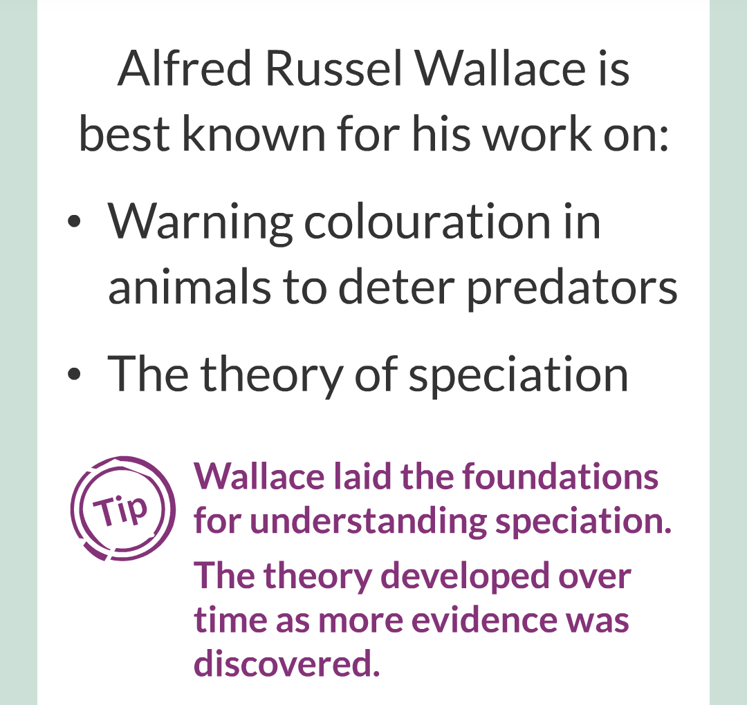 8 - Variation, Evoltion and Speciation/024.png
