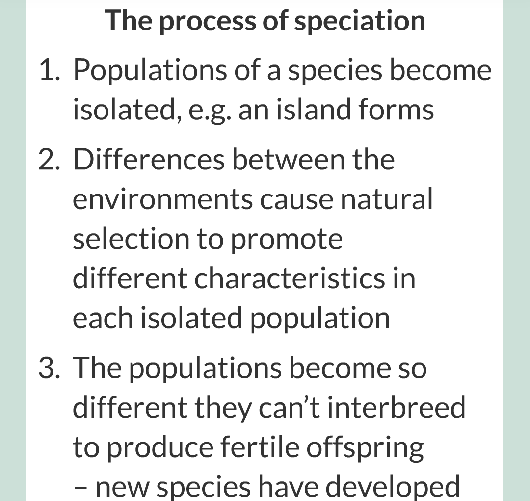 8 - Variation, Evoltion and Speciation/028.png