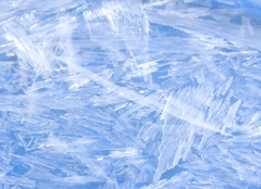 Crystals of benzoic acid recrystallized from hot water