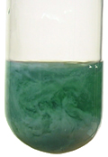 Green precipitate