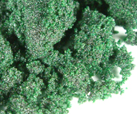 Some dark green crystals of chromium(III) chloride-6-water