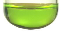 A copper complex ion